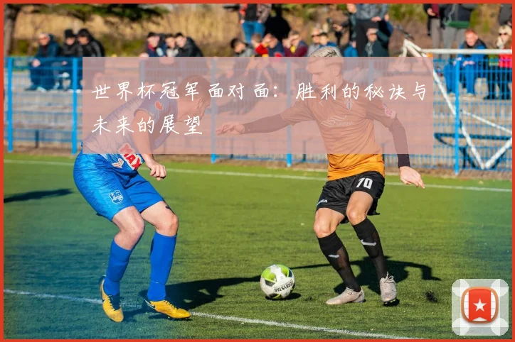 世界杯冠军面对面：胜利的秘诀与未来的展望