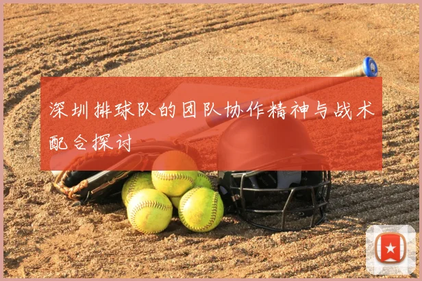 深圳排球队的团队协作精神与战术配合探讨