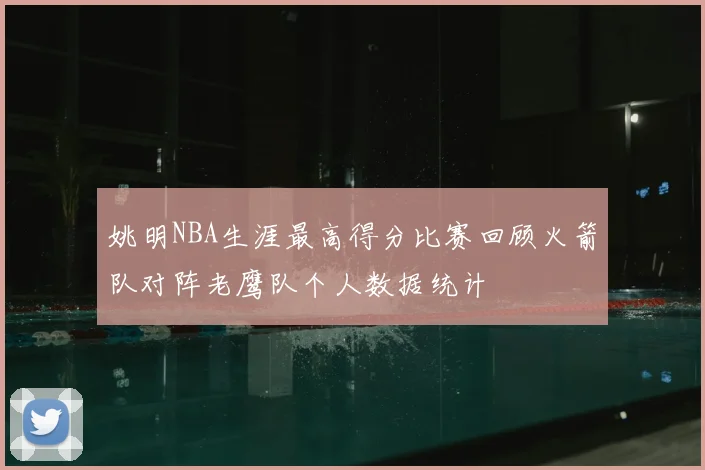 姚明NBA生涯最高得分比赛回顾火箭队对阵老鹰队个人数据统计