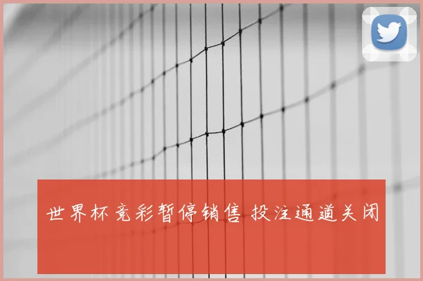 世界杯竞彩暂停销售 投注通道关闭