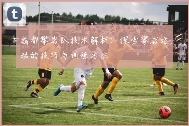 成都攀岩队技术解析：探索攀岩运动的技巧与训练方法