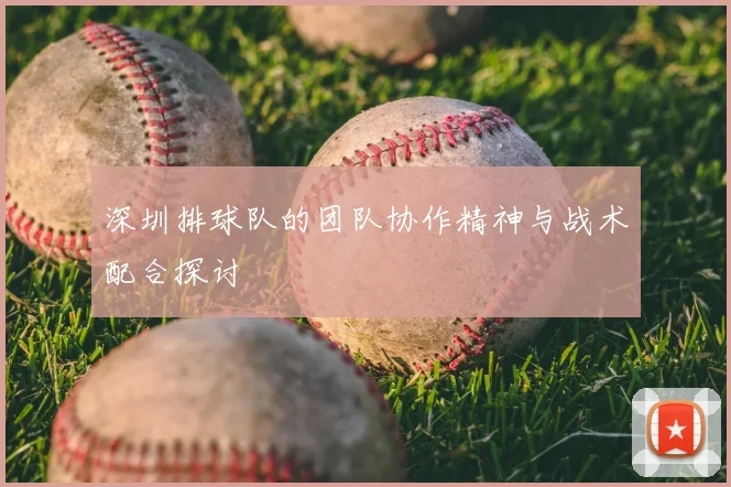 深圳排球队的团队协作精神与战术配合探讨