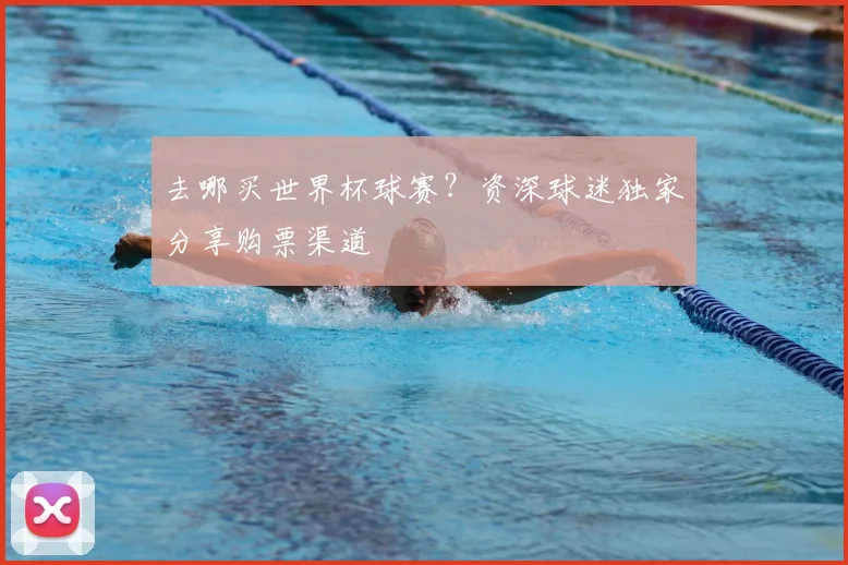 去哪买世界杯球赛?资深球迷独家分享购票渠道