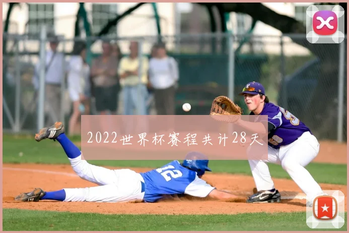 2022世界杯赛程共计28天