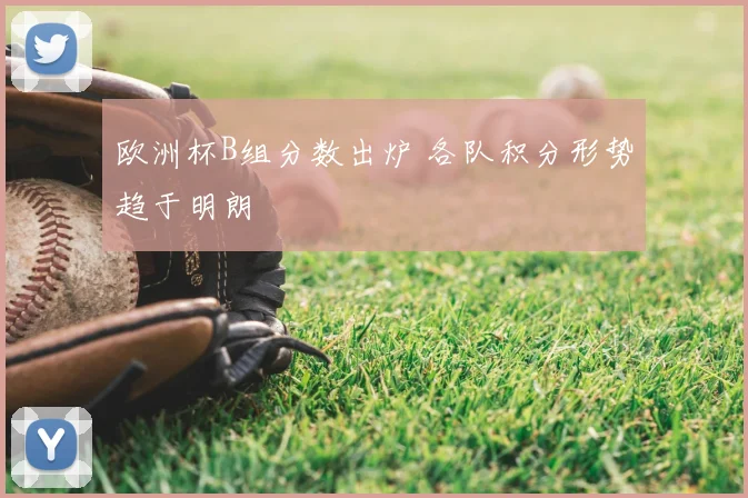 欧洲杯B组分数出炉 各队积分形势趋于明朗