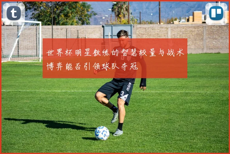 世界杯明星教练的智慧较量与战术博弈能否引领球队夺冠