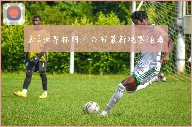 新2世界杯网址公布最新观赛通道