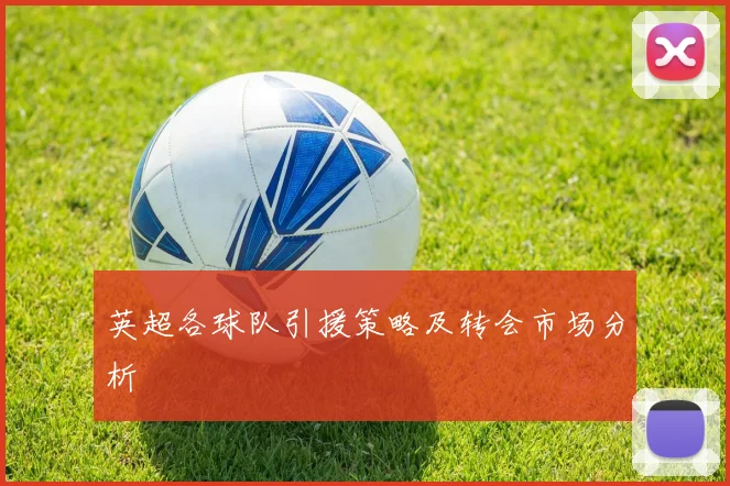 英超各球队引援策略及转会市场分析