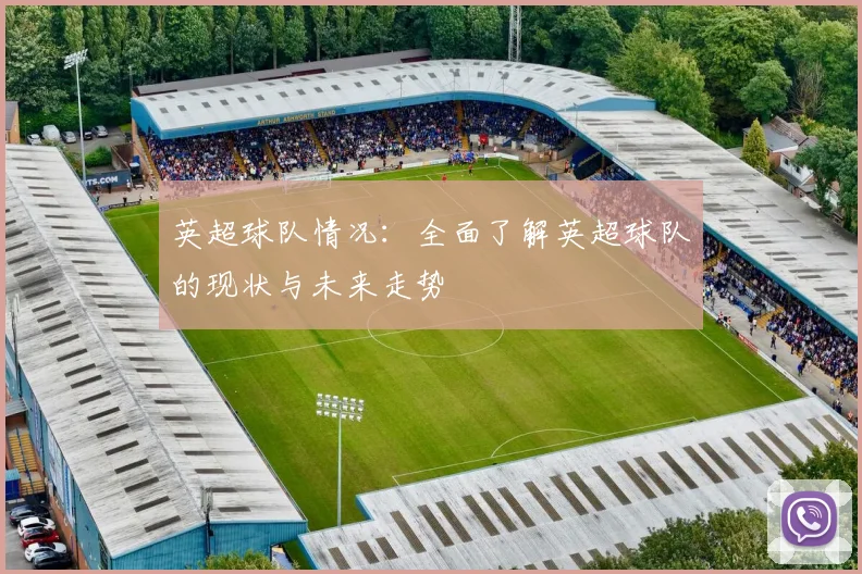 英超球队情况：全面了解英超球队的现状与未来走势