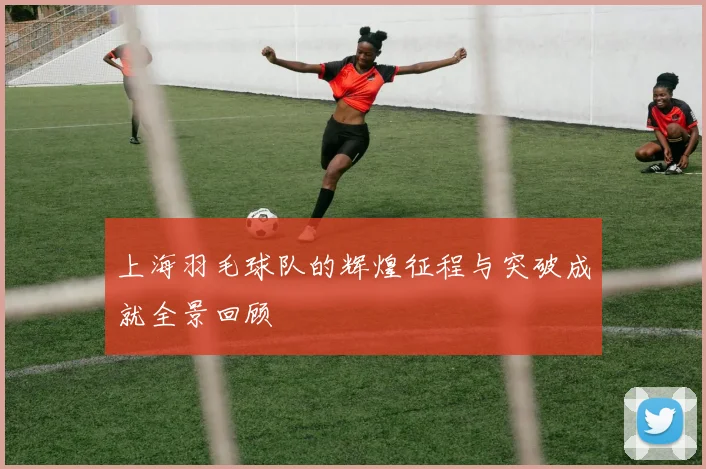 上海羽毛球队的辉煌征程与突破成就全景回顾