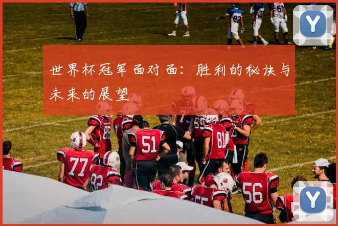 世界杯冠军面对面:胜利的秘诀与未来的展望